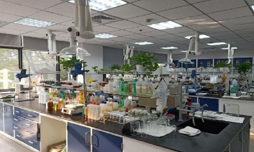 通過(guò)BCC知識(shí)產(chǎn)權(quán)管理體系認(rèn)證