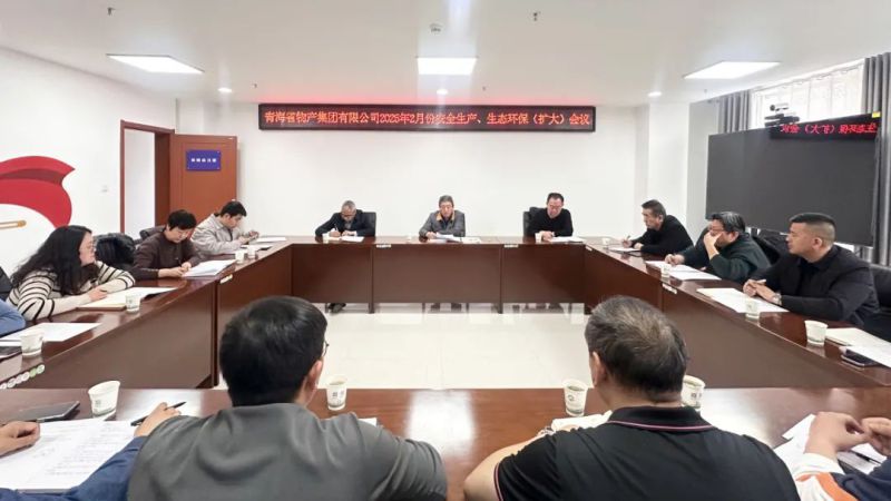 集團召開2025年2月份安全生產(chǎn)、生態(tài)環(huán)保（擴大）會議